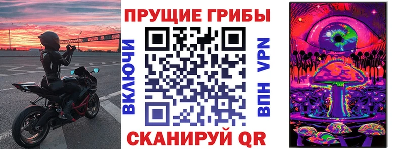 Галлюциногенные грибы MAGIC MUSHROOMS Купить закладки Прохладный
